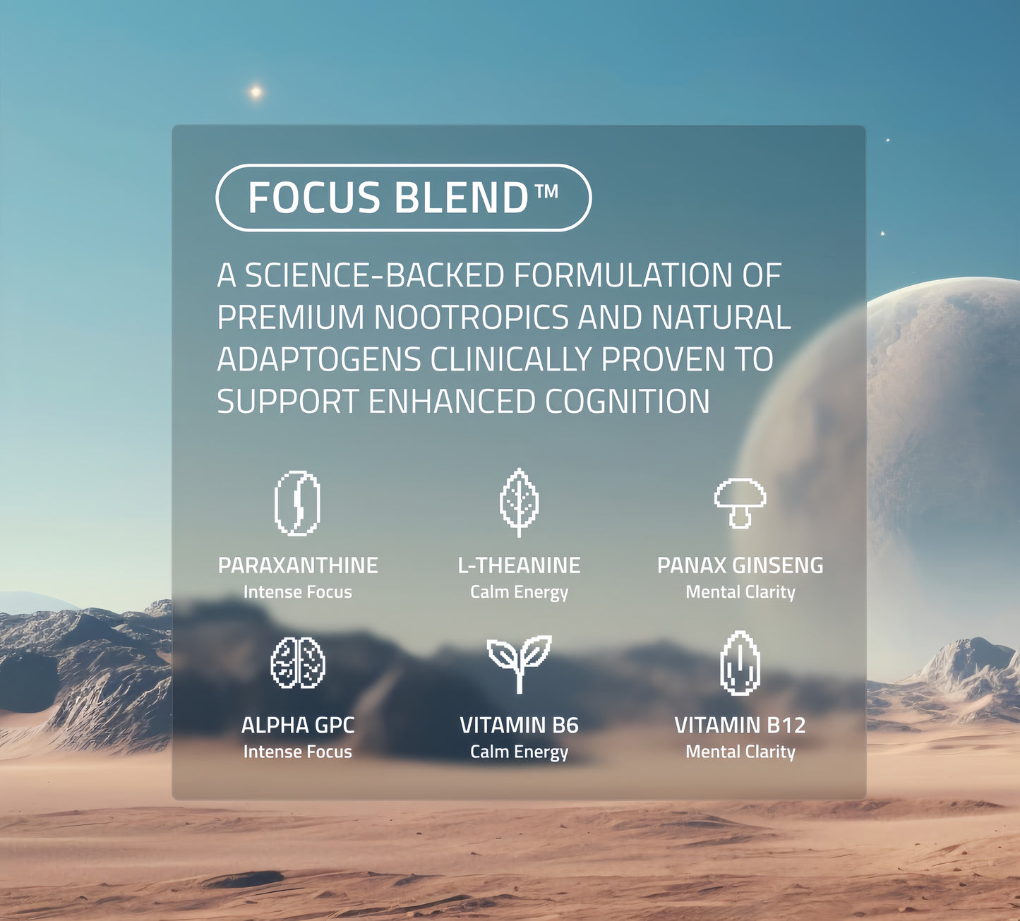 FOCUS POUCHES(Tropical Pack, 3 Cans)